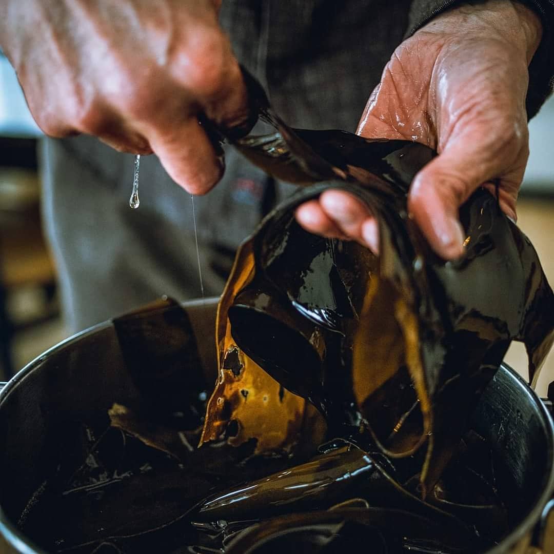Wet hands lift several dark ribbons of sea kelp from a metal pot.